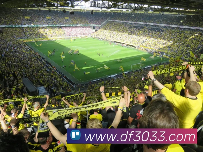 电竞数据